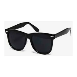 Full Black Ray Ban Shades